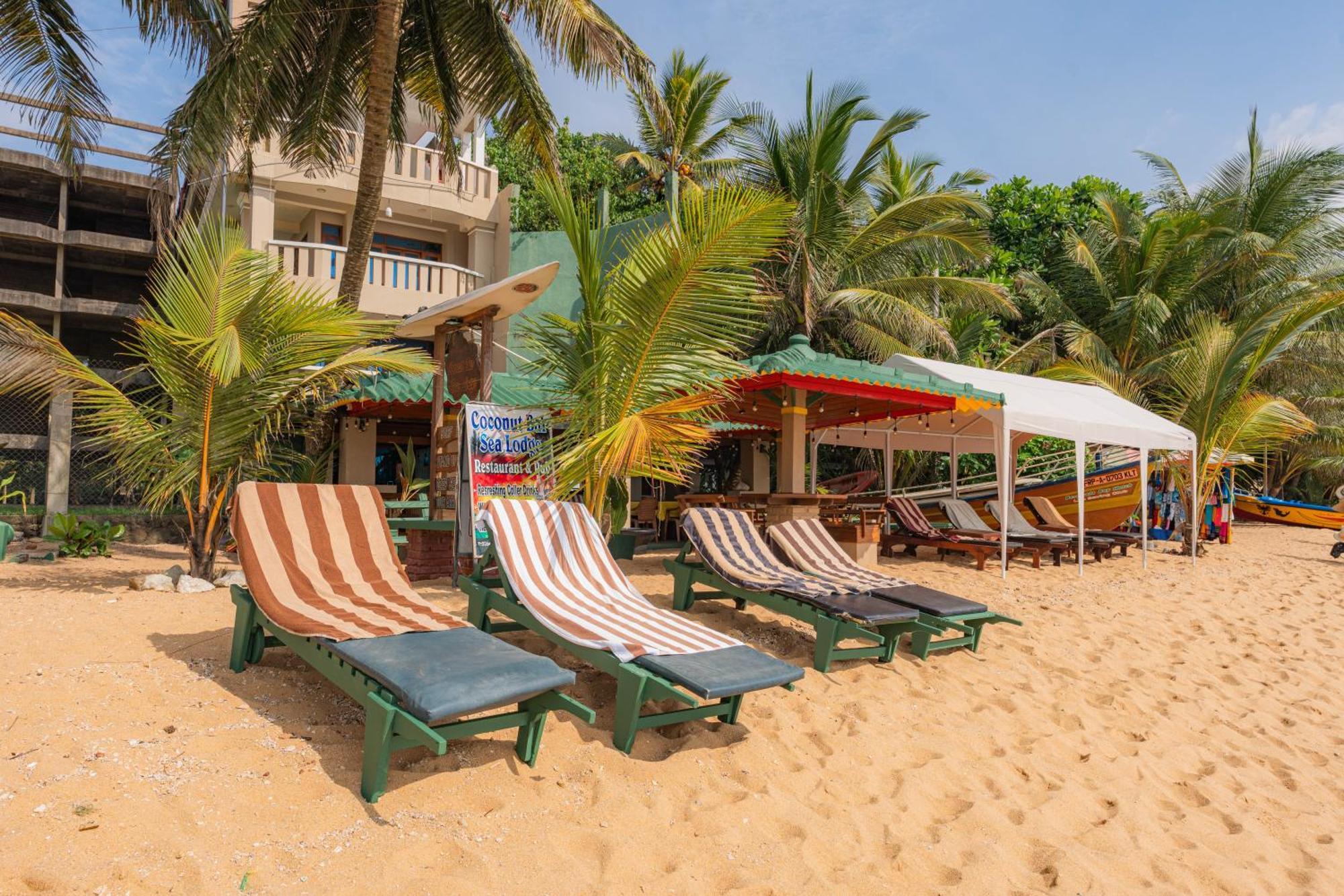 Hotel Coconut Bar Sea Lodge Beruwala Eksteriør billede