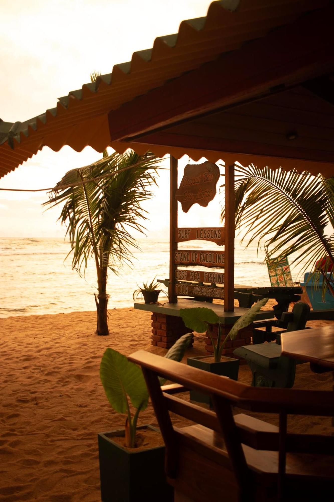 Hotel Coconut Bar Sea Lodge Beruwala Eksteriør billede