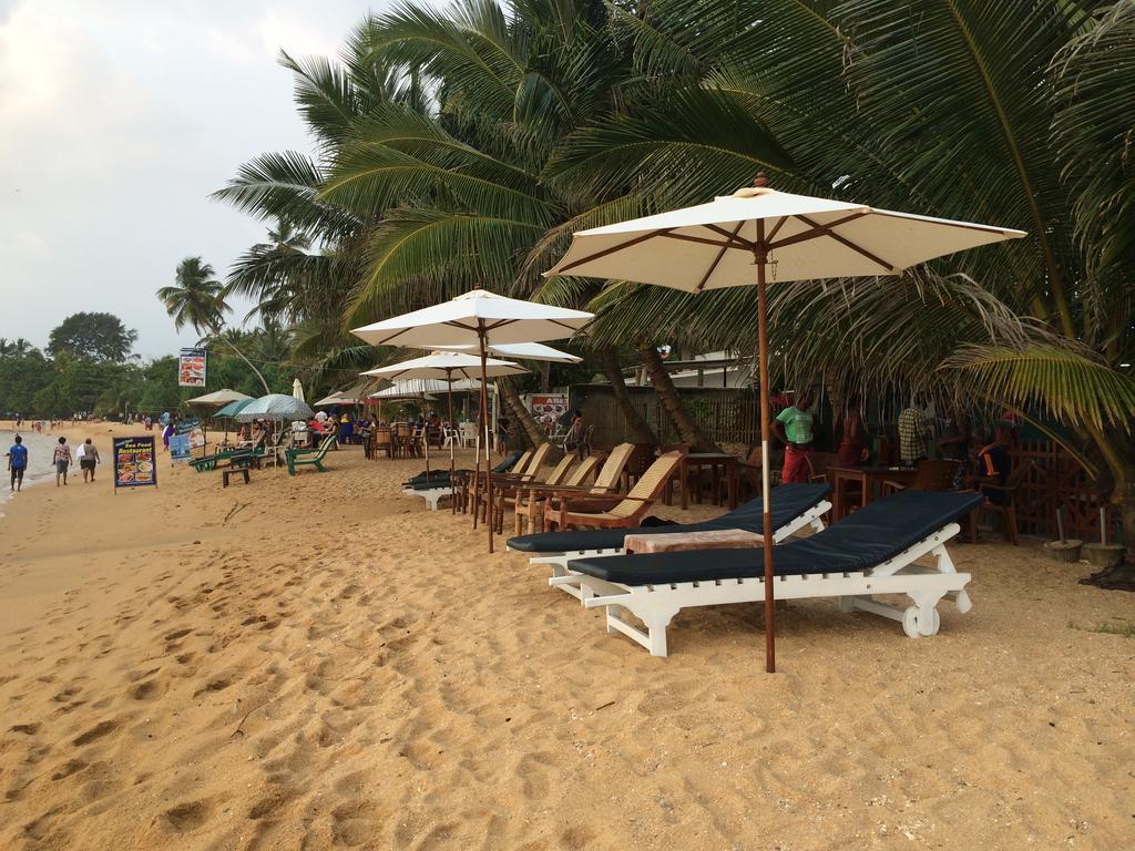 Hotel Coconut Bar Sea Lodge Beruwala Eksteriør billede