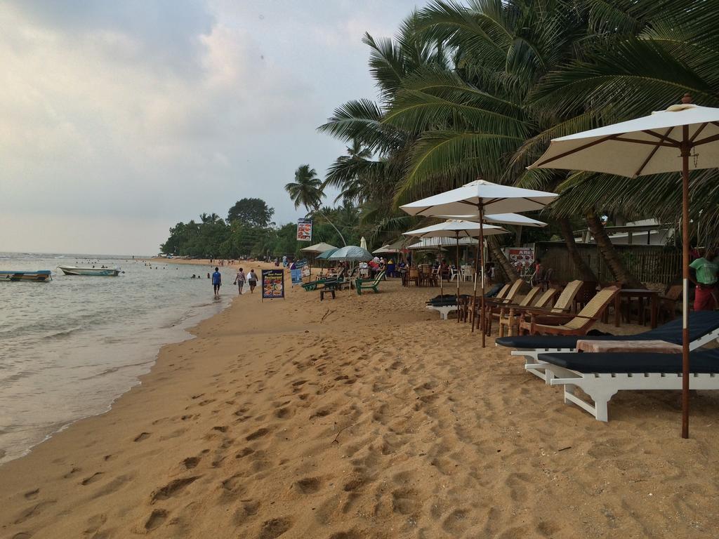 Hotel Coconut Bar Sea Lodge Beruwala Eksteriør billede